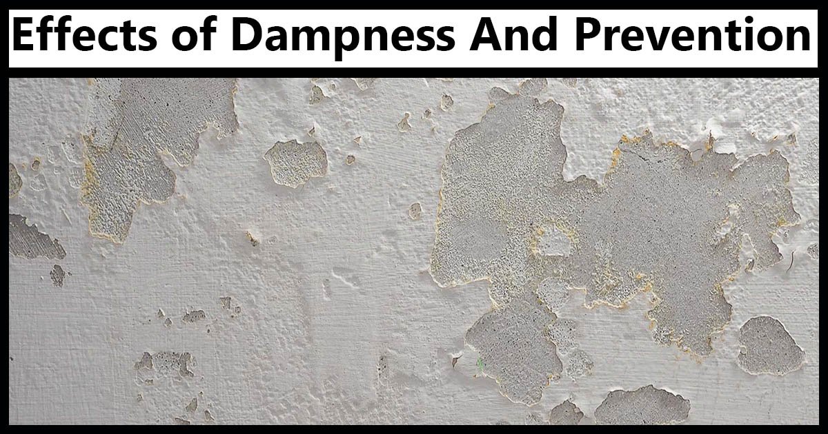 Dampness And Prevention